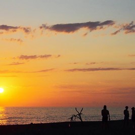 Bungalows am Mittelmeer in der Toskana Bild 1