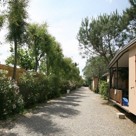 Bungalows am Mittelmeer in der Toskana Bild 3