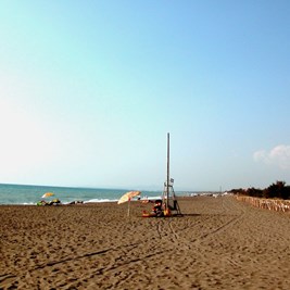 Bungalows am Mittelmeer in der Toskana Bild 8