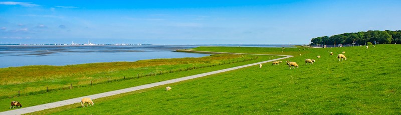 Vorschaubild Nordsee