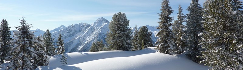 Vorschaubild Südtirol