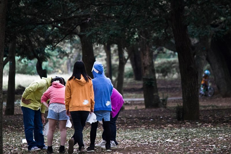 Bild: Workshop  „Verhaltensauffälligkeiten bei Teilnehmer/innen auf Kinder- und Jugendreisen“