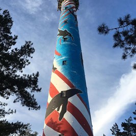 Kunstmonat auf der Insel Ameland Bild 3